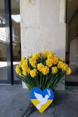 Bouquet Bouquet couleurs ukraine